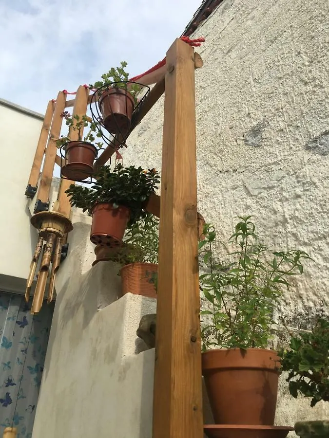 Casa Escape Apartment Terrasini Homestay